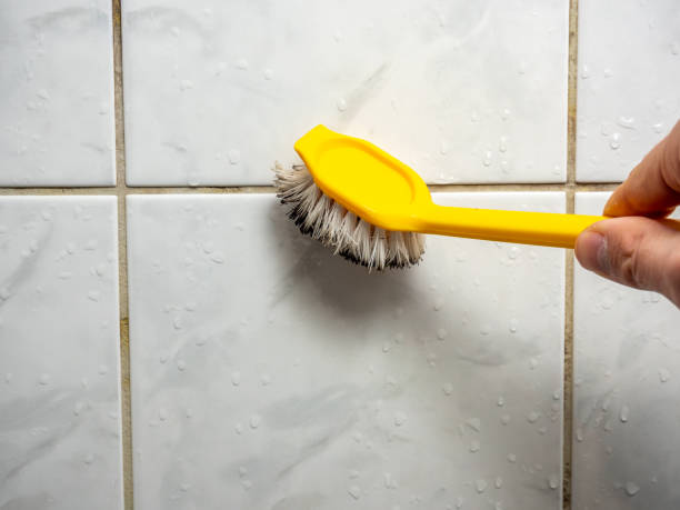 Best Mold Removal Near Me  in Kenbridge, VA