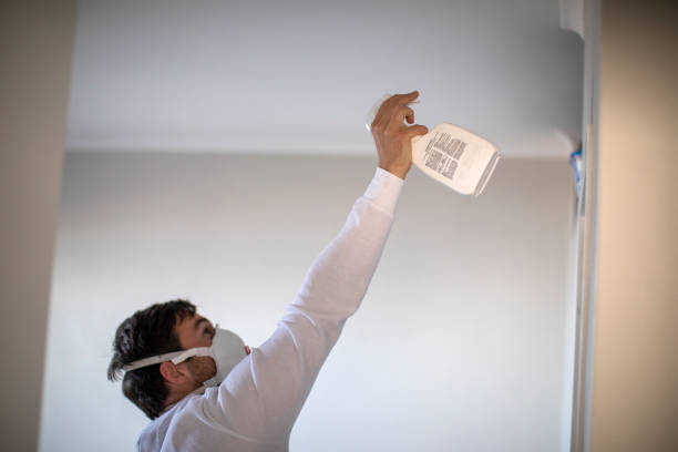 Best Office Mold Removal Services  in Kenbridge, VA