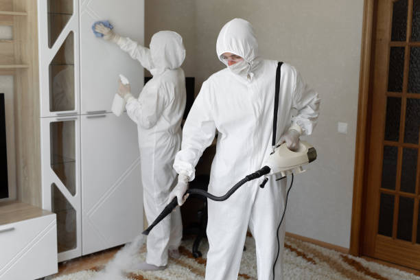 Best Same-Day Mold Removal  in Kenbridge, VA