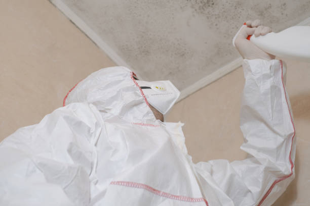 Best Mold Cleaning Services  in Kenbridge, VA