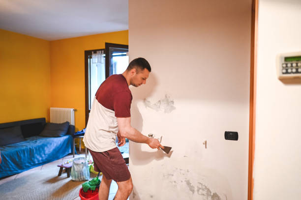 Best Fast Mold Removal  in Kenbridge, VA