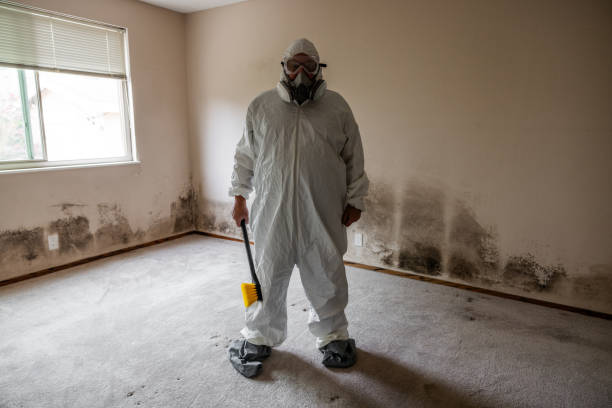 Best Certified Mold Removal  in Kenbridge, VA